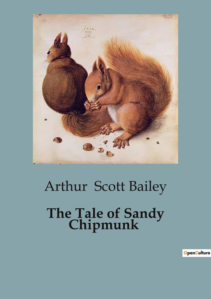 The Tale of Sandy Chipmunk - Arthur Scott Bailey