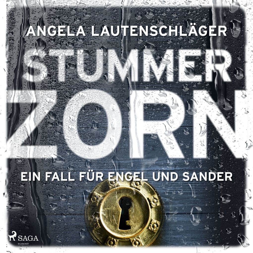 Stummer Zorn (Ein Fall für Engel und Sander Band 7)