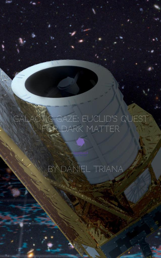 Galactic Gaze: Euclid‘s Quest for Dark Matter