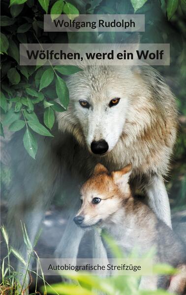 Wölfchen werd ein Wolf