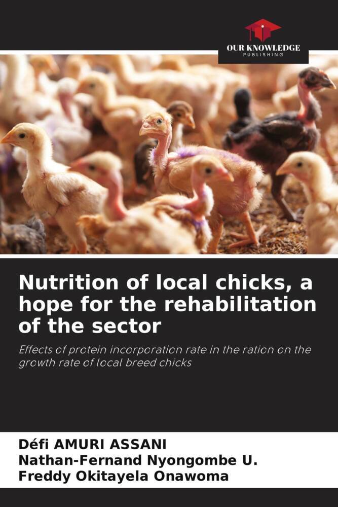 Nutrition of local chicks a hope for the rehabilitation of the sector