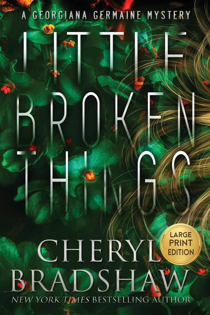 Little Broken Things Large Print Edition