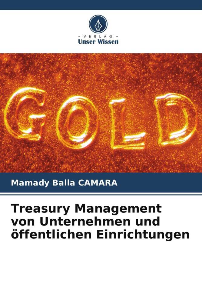 Treasury Management von Unternehmen und öffentlichen Einrichtungen