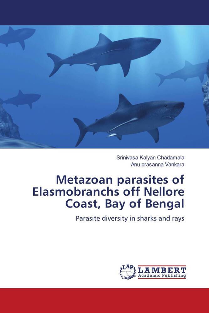 Metazoan parasites of Elasmobranchs off Nellore Coast Bay of Bengal