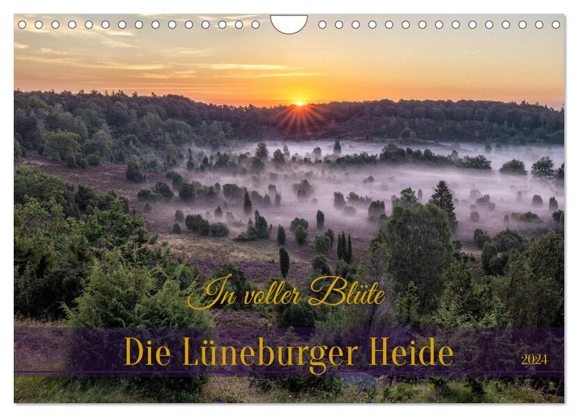 Die Lüneburger Heide - In voller Blüte (Wandkalender 2024 DIN A4 quer) CALVENDO Monatskalender
