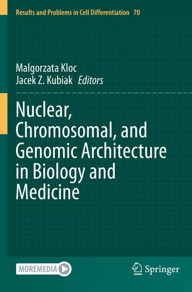 Nuclear Chromosomal and Genomic Architecture in Biology and Medicine