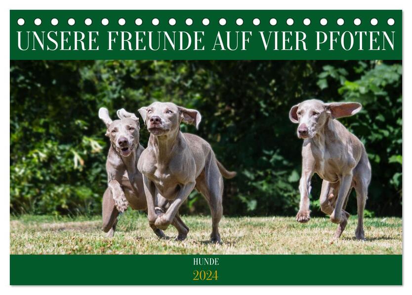 Unsere Freunde auf vier Pfoten - Hunde (Tischkalender 2024 DIN A5 quer) CALVENDO Monatskalender