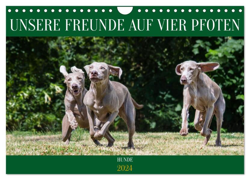 Unsere Freunde auf vier Pfoten - Hunde (Wandkalender 2024 DIN A4 quer) CALVENDO Monatskalender