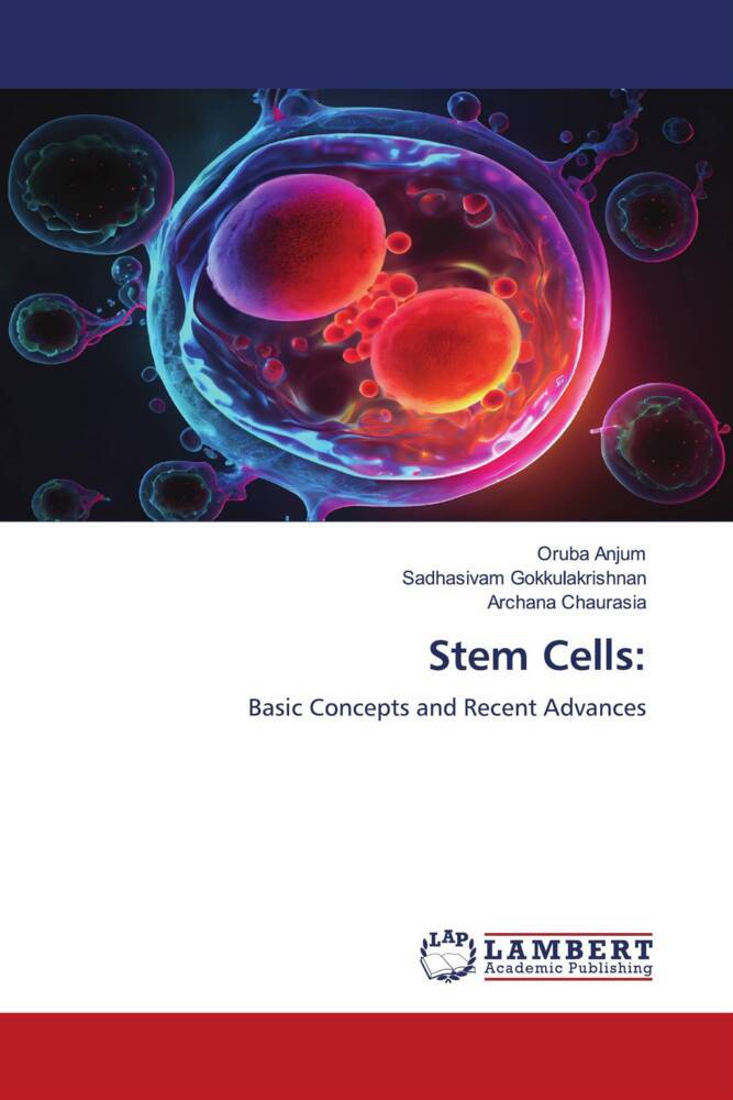Stem Cells: