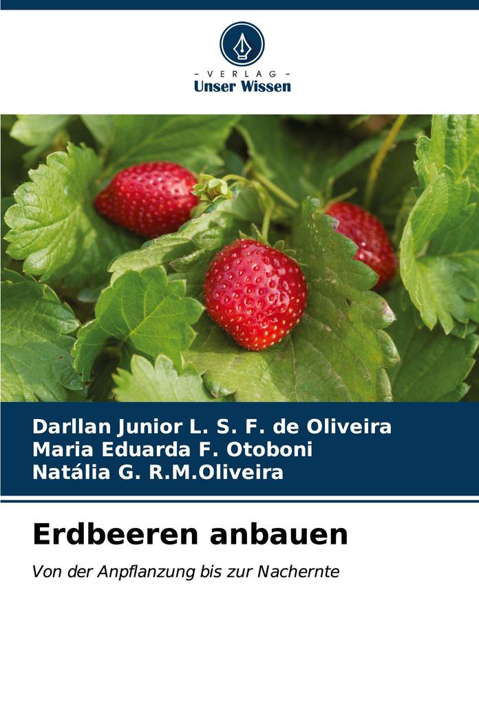 Erdbeeren anbauen