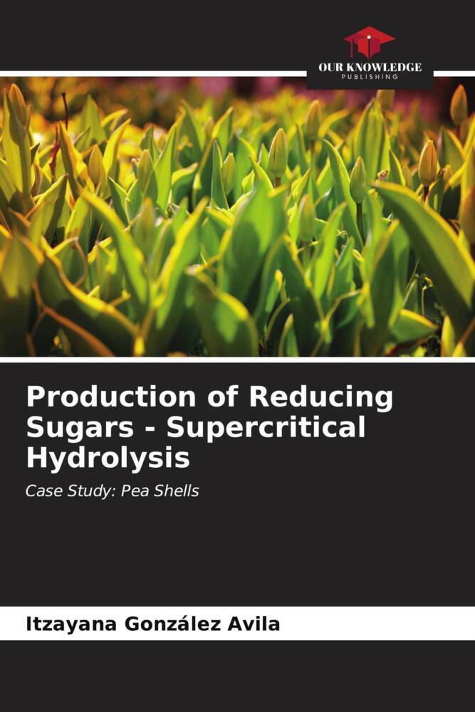 Production of Reducing Sugars - Supercritical Hydrolysis
