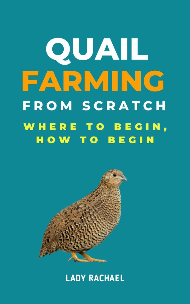 Quail Farming From Scratch: Where To Begin How To Begin