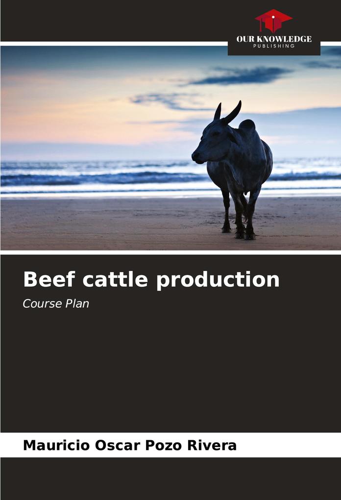 Beef cattle production