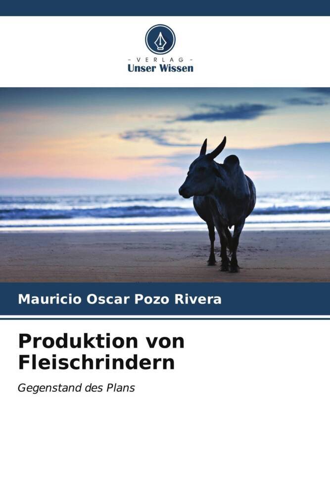Produktion von Fleischrindern
