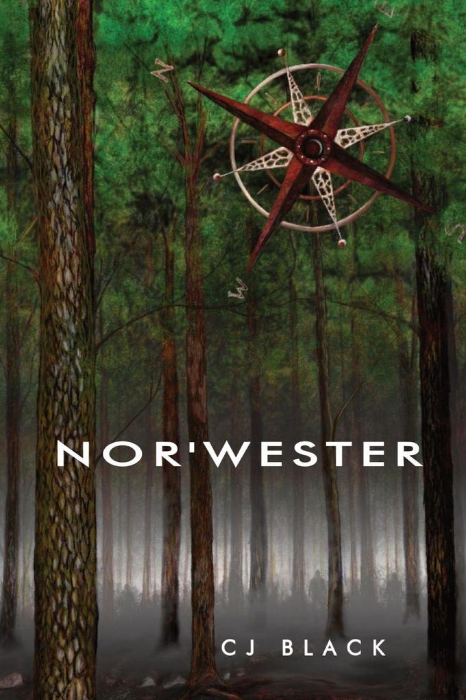 NOR'WESTER