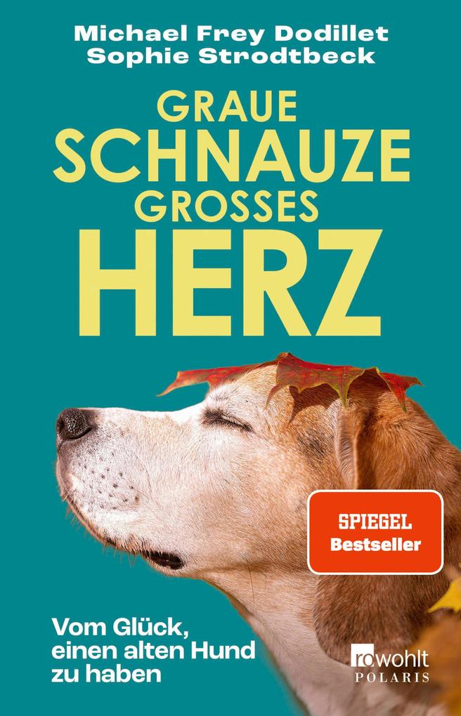 Graue Schnauze großes Herz