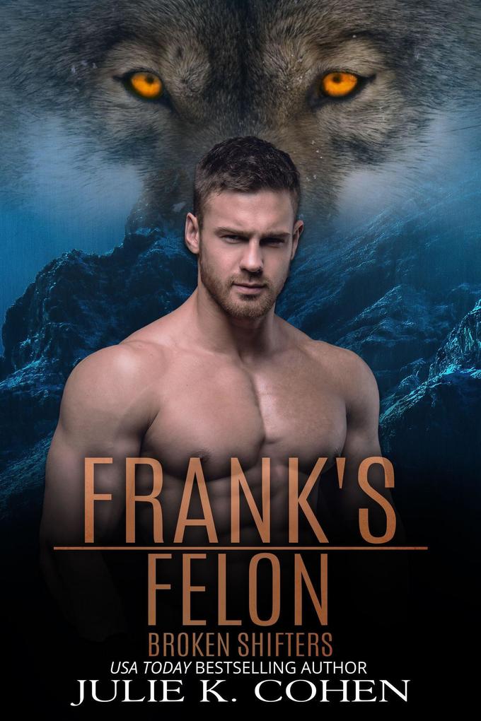 Frank‘s Felon (Broken Shifters #6)