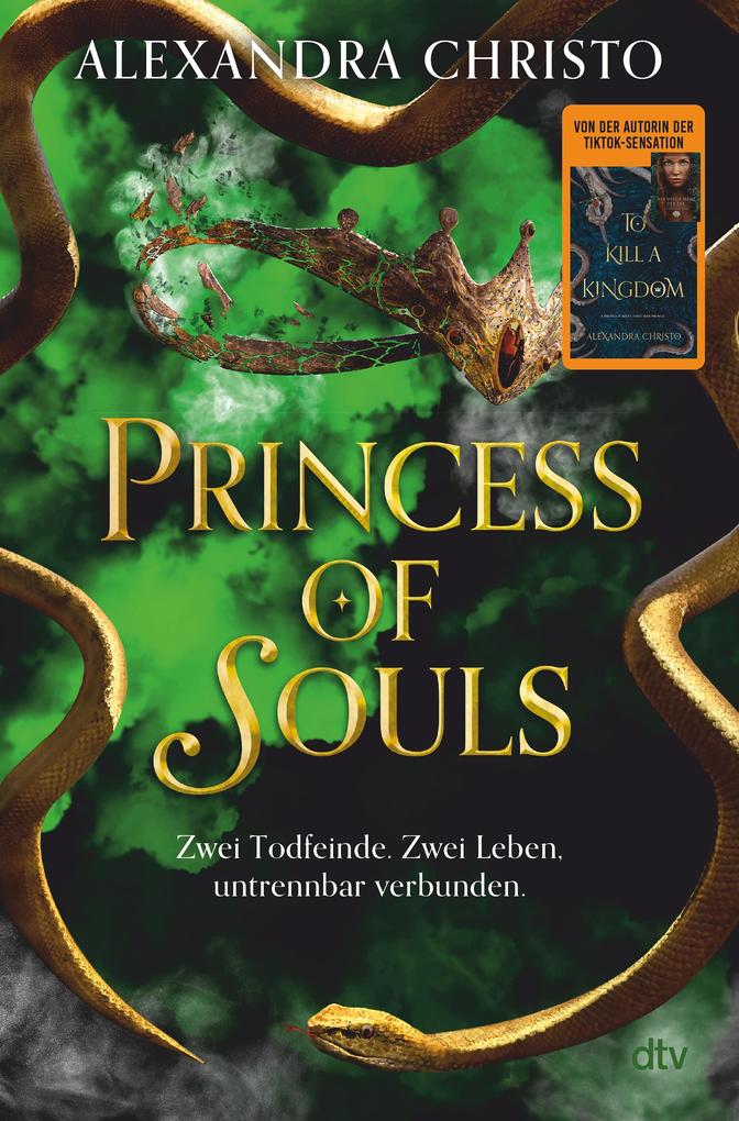 dtv Verlagsgesellschaft Princess Of Souls