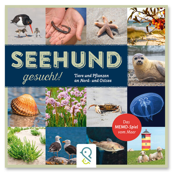 Seehund gesucht!