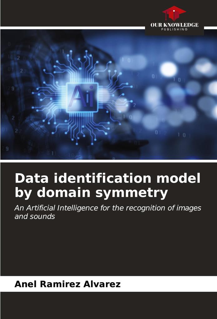 Data identification model by domain symmetry