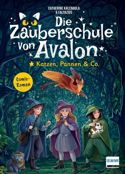 Die Zauberschule von Avalon - Katzen Pannen & Co.