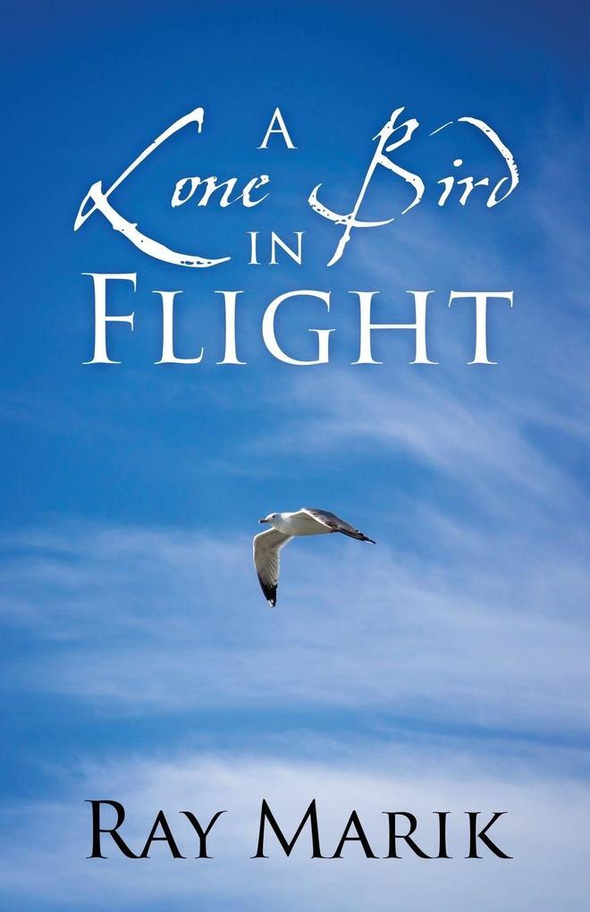 A Lone Bird in Flight