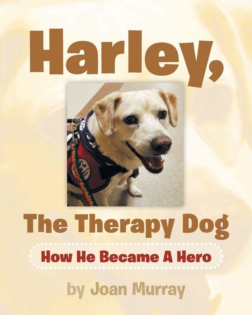 Harley the Therapy Dog