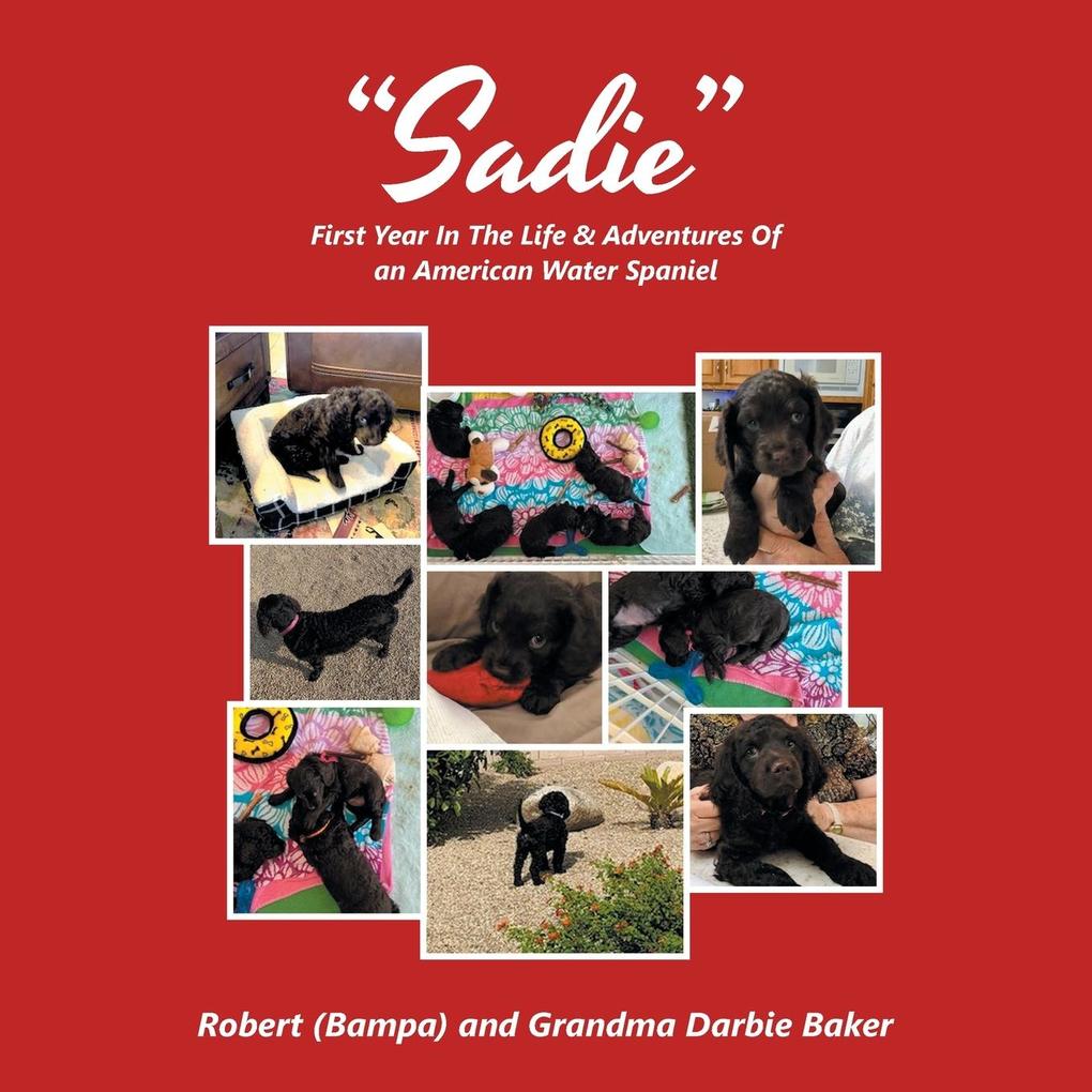 'Sadie'