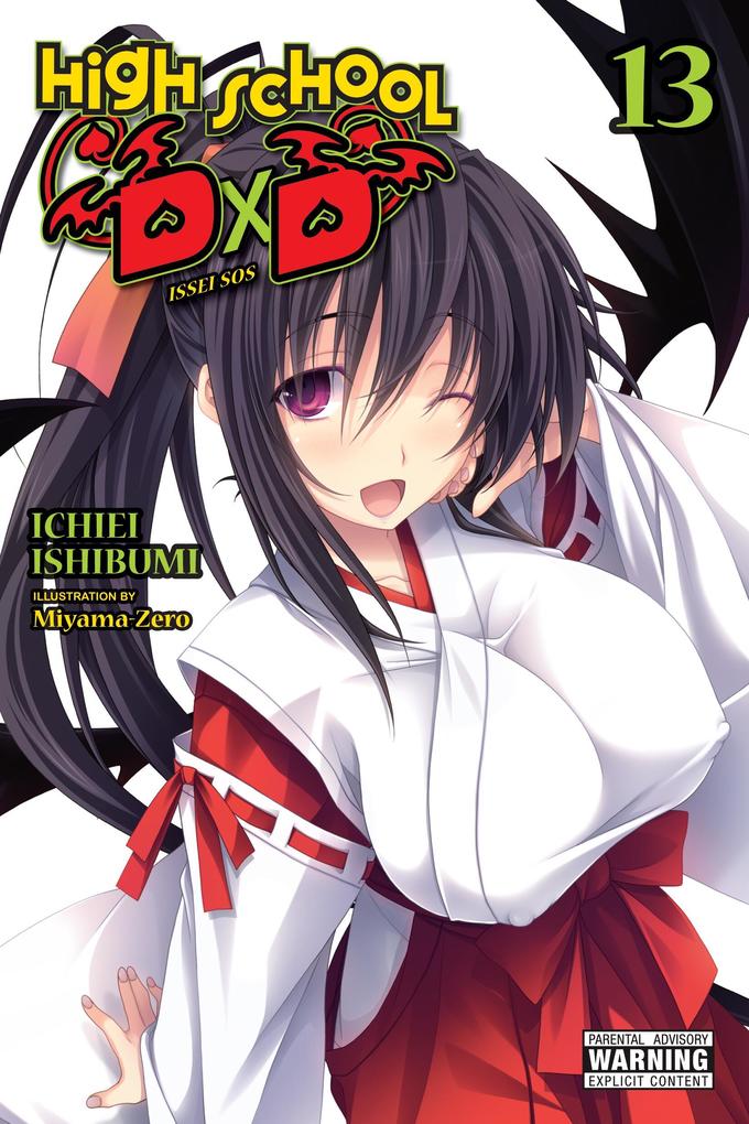 High School DXD Vol. 13 (Light Novel)