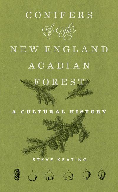 Conifers of the New England-Acadian Forest