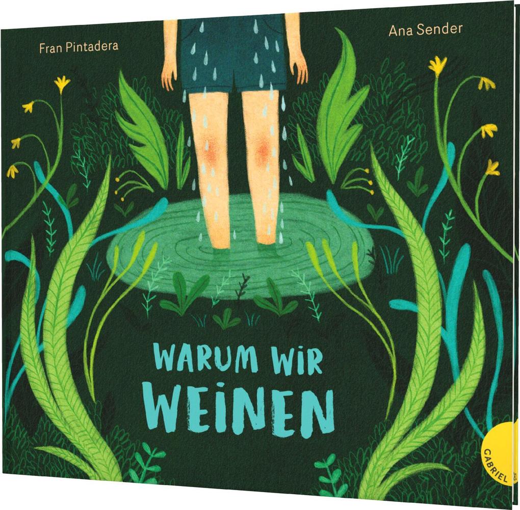 Gabriel Verlag Warum Wir Weinen