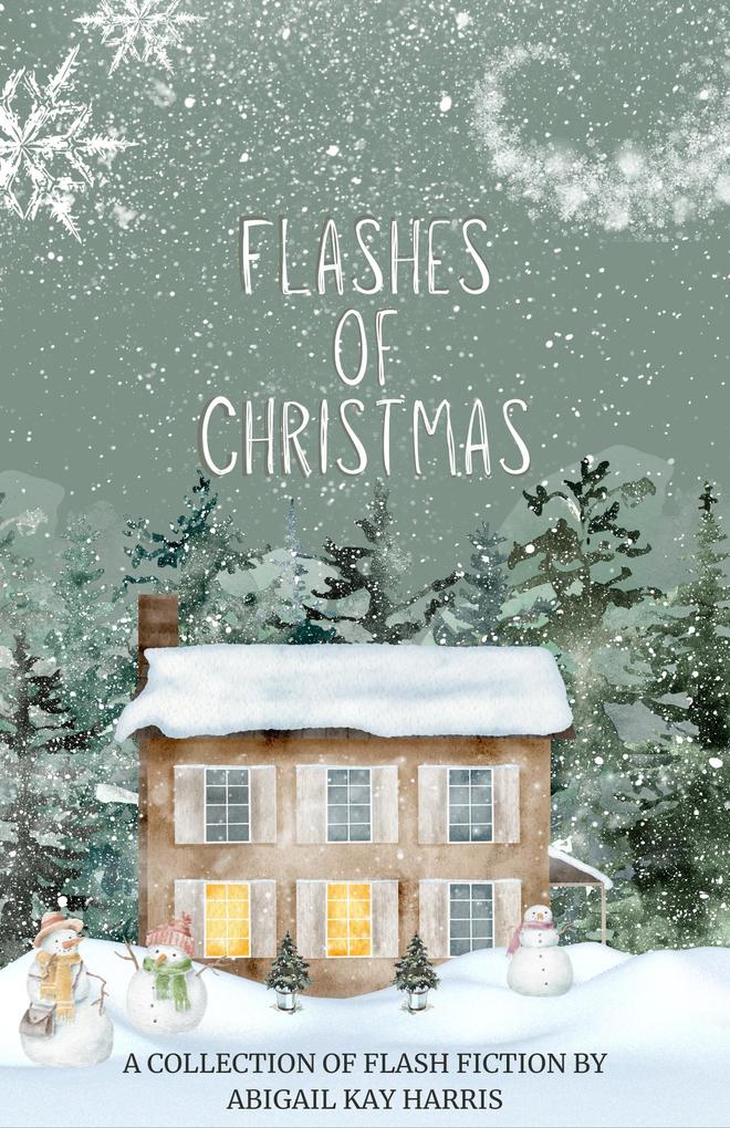 Flashes of Christmas (The Flash Fiction Family #1)