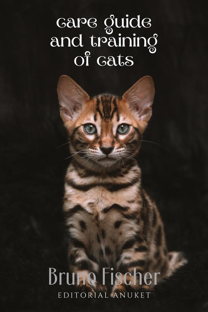 Care Guide and Training of Cats