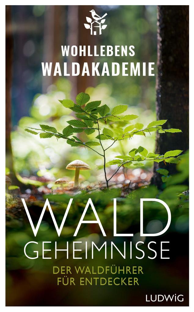 Waldgeheimnisse