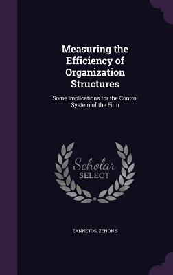Measuring the Efficiency of Organization Structures: Some Implications for the Control System of the Firm