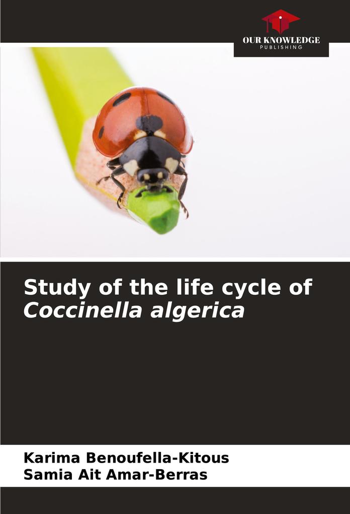 Study of the life cycle of Coccinella algerica