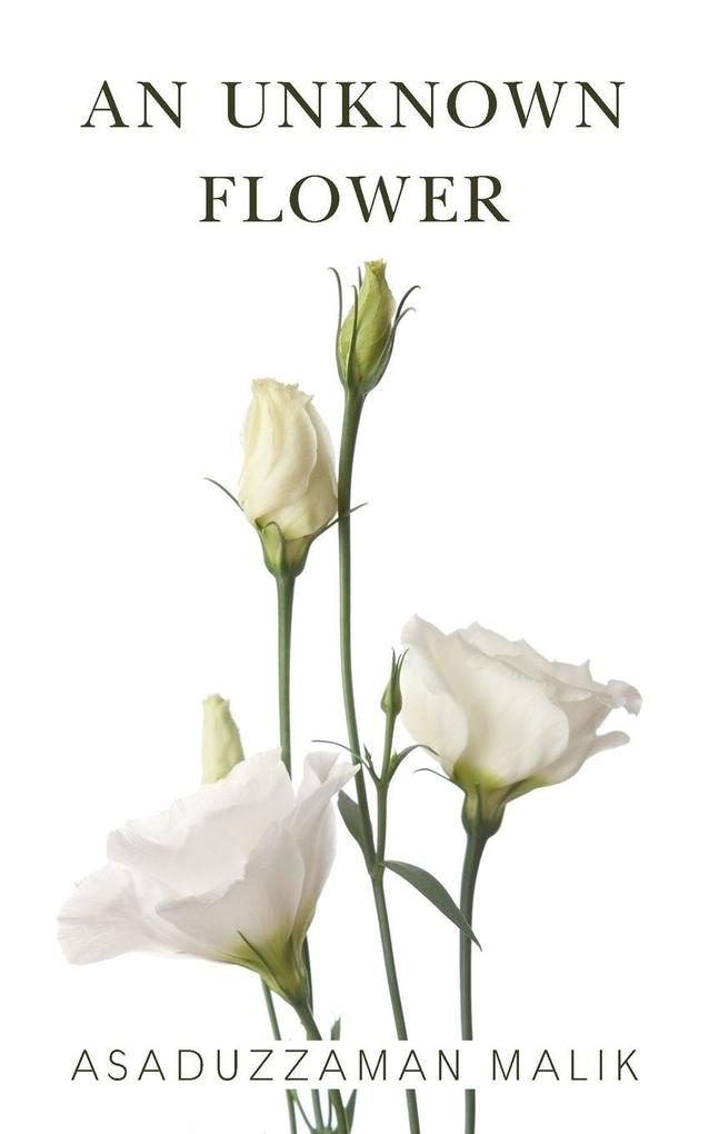 An Unknown Flower