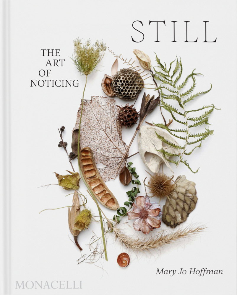 The Monacelli Press Still