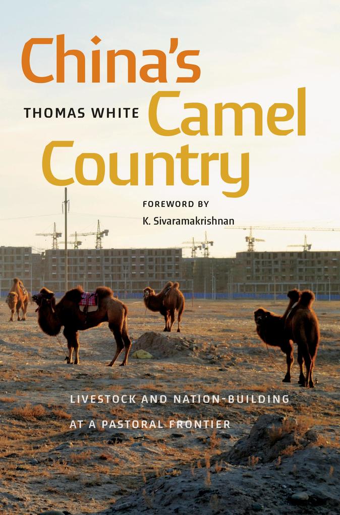 China‘s Camel Country