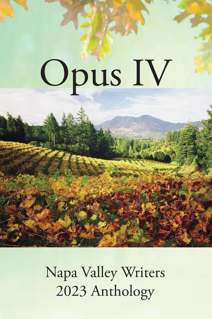 Opus IV