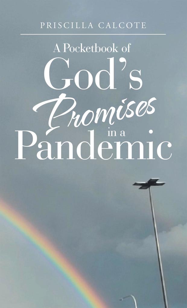 A Pocketbook of God‘s Promises in a Pandemic