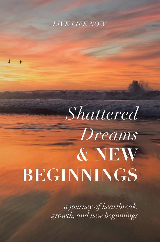 Shattered Dreams New Beginnings