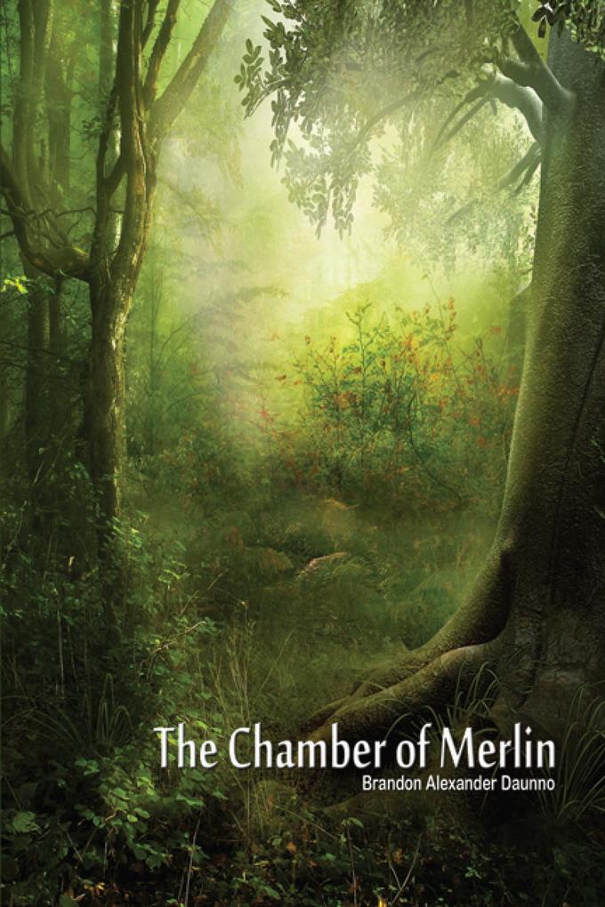 The Chamber of Merlin