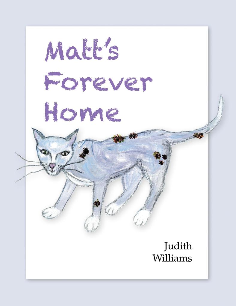 Matt‘s Forever Home