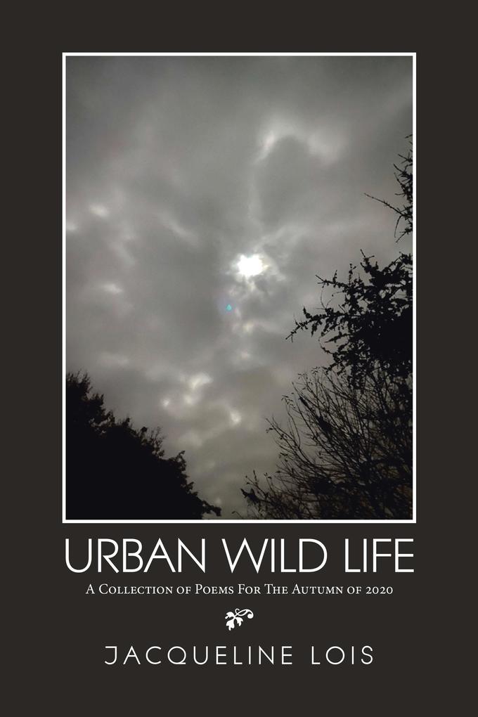 Urban Wild Life