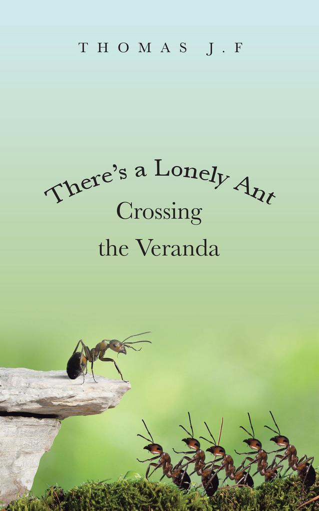There‘s a Lonely Ant Crossing the Veranda