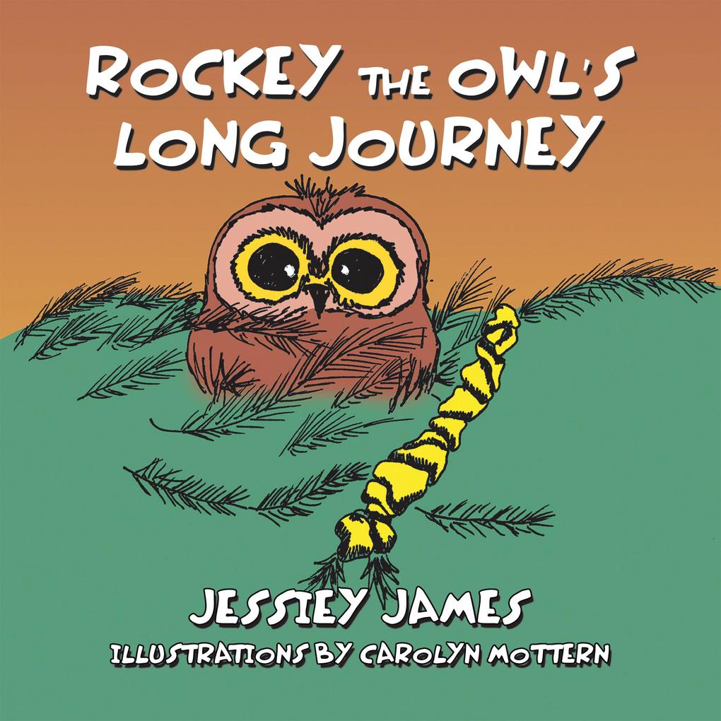 Rockey the Owl‘s Long Journey