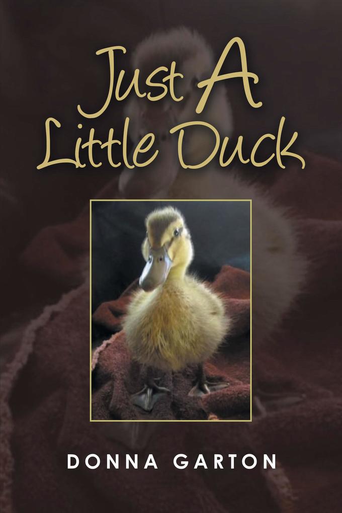 Just a Little Duck