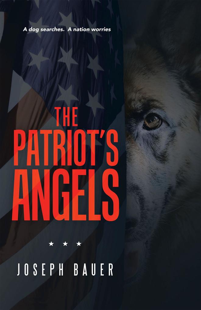 The Patriot‘s Angels