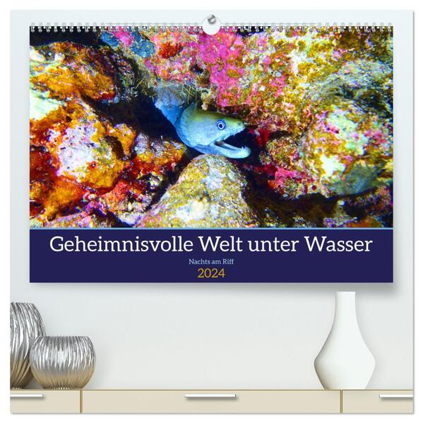 Geheimnisvolle Welt unter Wasser - Nachts am Riff (hochwertiger Premium Wandkalender 2024 DIN A2 quer) Kunstdruck in Hochglanz